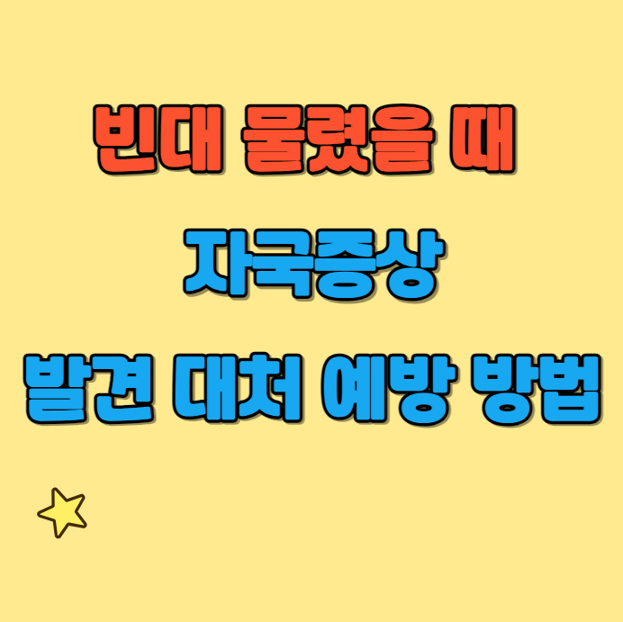  침대 속 흡혈귀, 빈대 물리면 자국증상 대처 발견 예방 방법