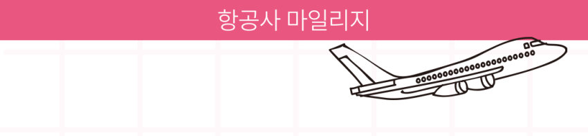 항공사 마일리지 유효기간 소멸사건