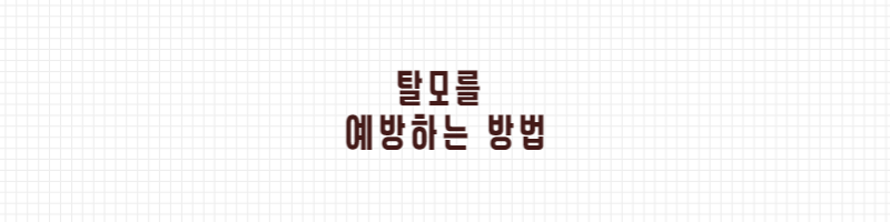 탈모를예방하는방법