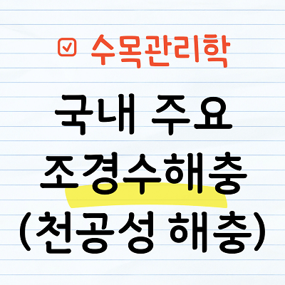 국내 주요 천공성 해충