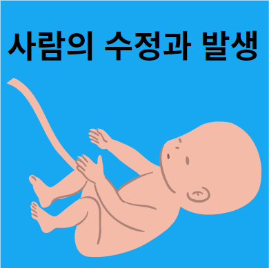 수정과 발생