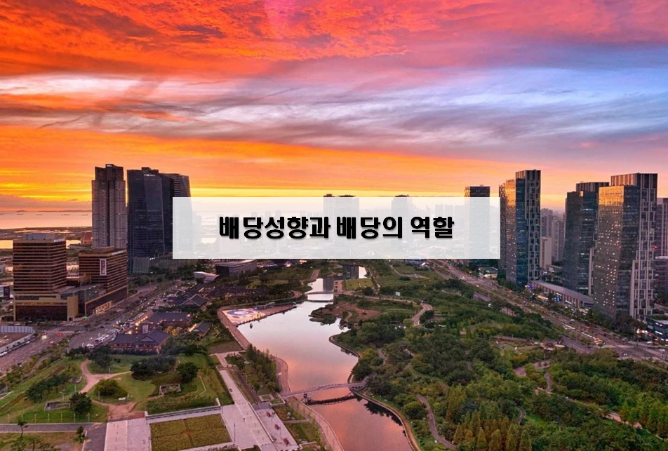  배당성향과 배당의 역할