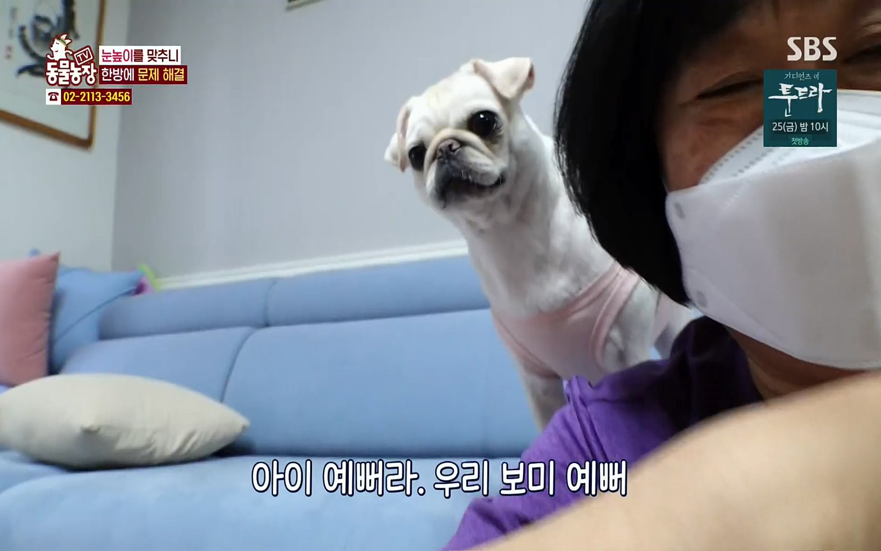 TV 동물농장.E1061.220320p.H264-F1RST.mp4_20220320_183556.172.jpg