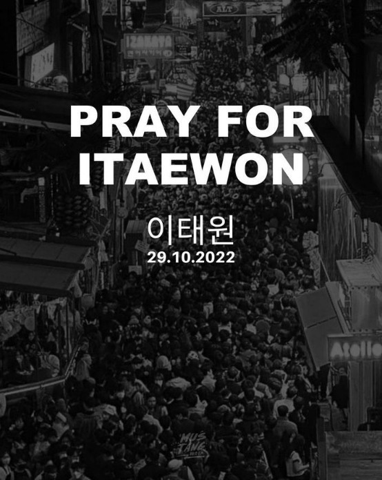  이태원 참사 희생자 현황