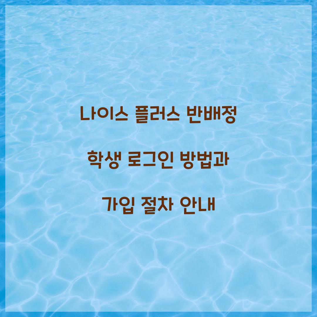 나이스 플러스 반배정