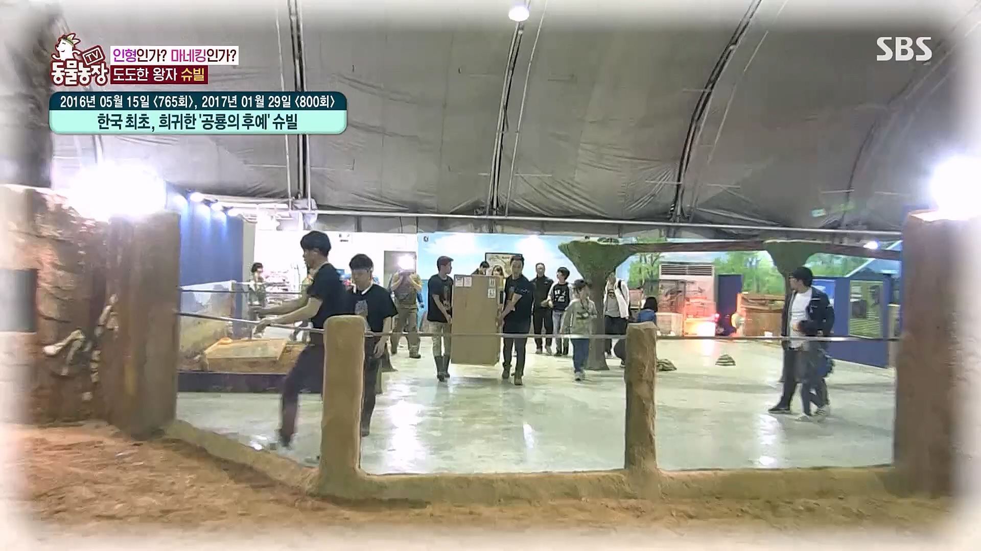 TV 동물농장.E1106.230129p.H264-F1RST.mp4_20230130_192734.118.jpg