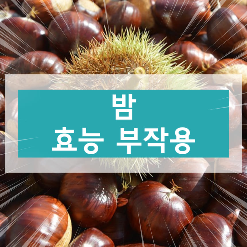 밤의 효능 부작용