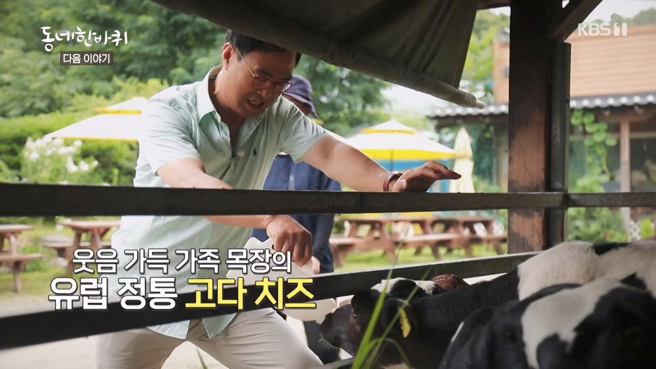 동네 한 바퀴.E234.230806p-NEXT.mp4_20230810_211412.421.jpg