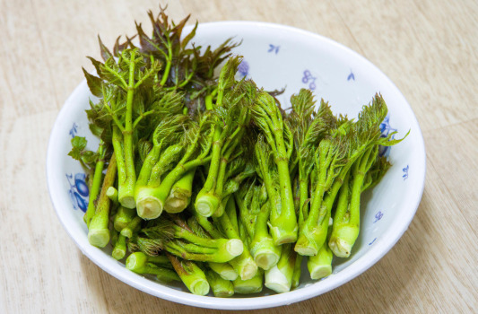 두릅 효능 (2)