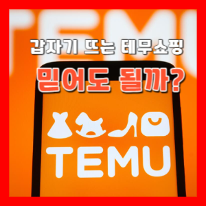 테무쇼핑(temu)