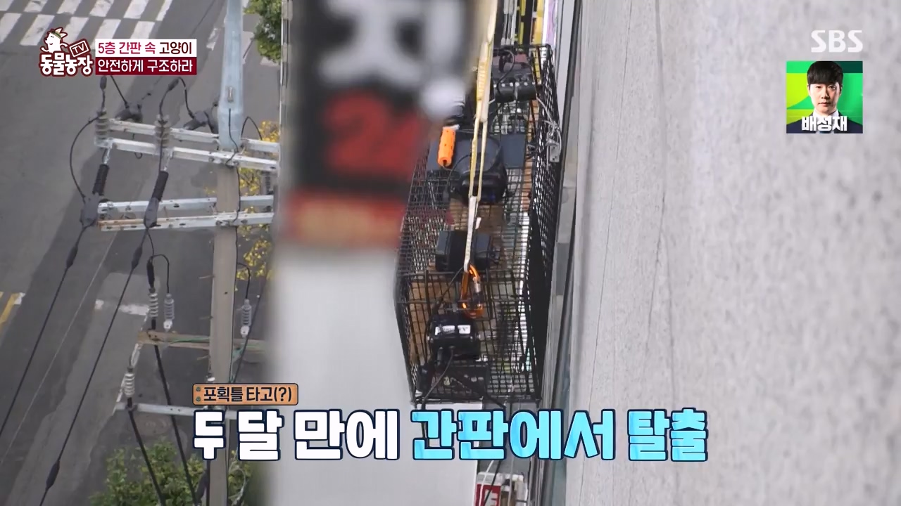 TV 동물농장.E1146.231120p-NEXT.mp4_20231119_175254.088.jpg