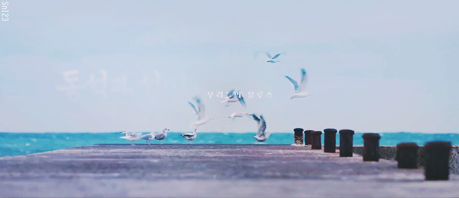 img.gif