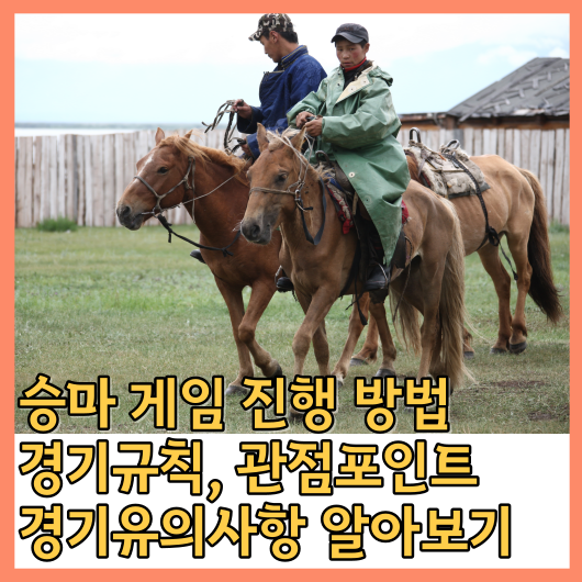  승마 게임 진행 방법, 경기규칙, 관점포인트, 경기유의사항 알아보기