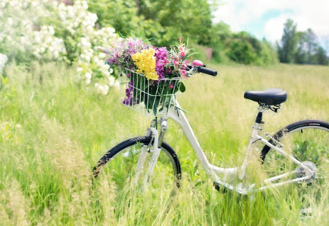 자전거: 친환경 이동의 대안