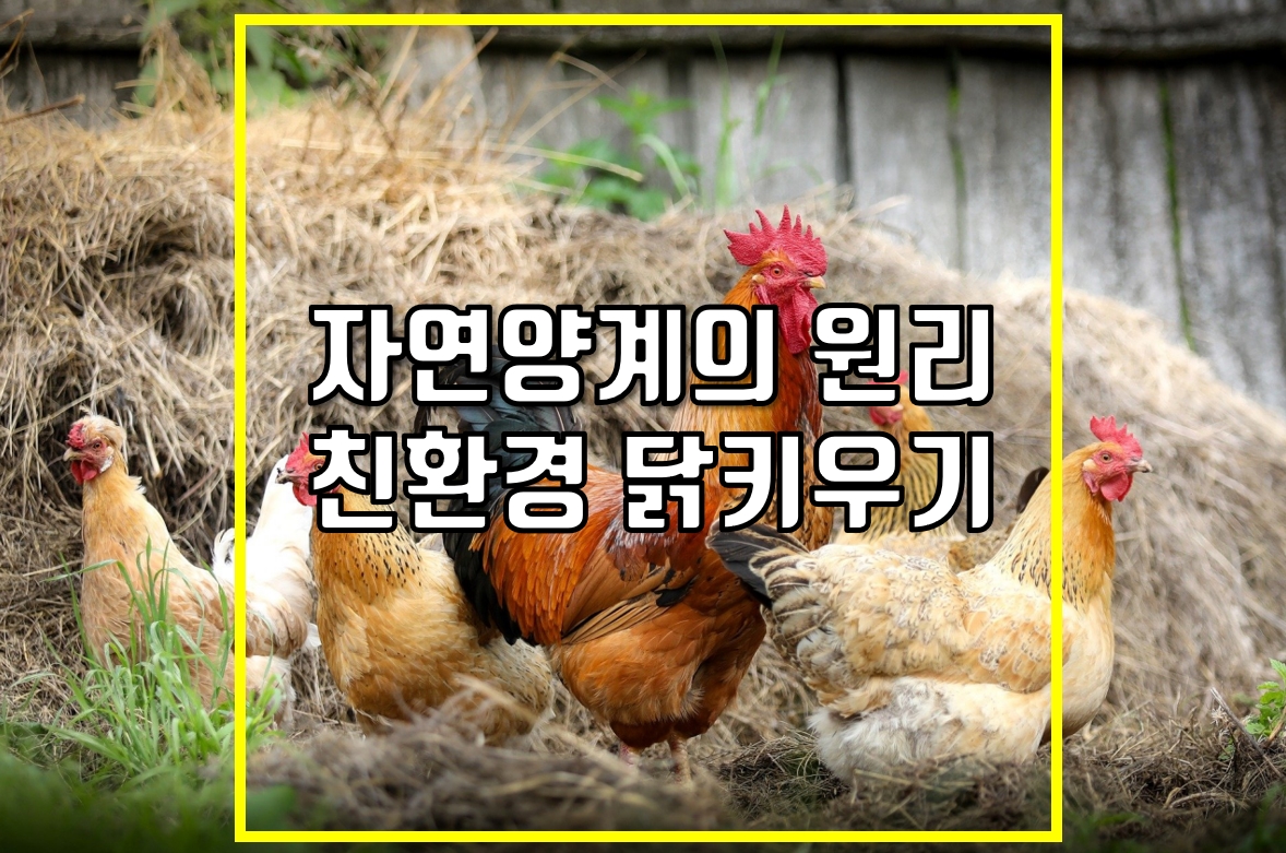 자연양계의 원리