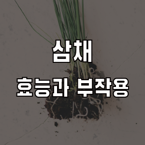 삼채 효능 부작용