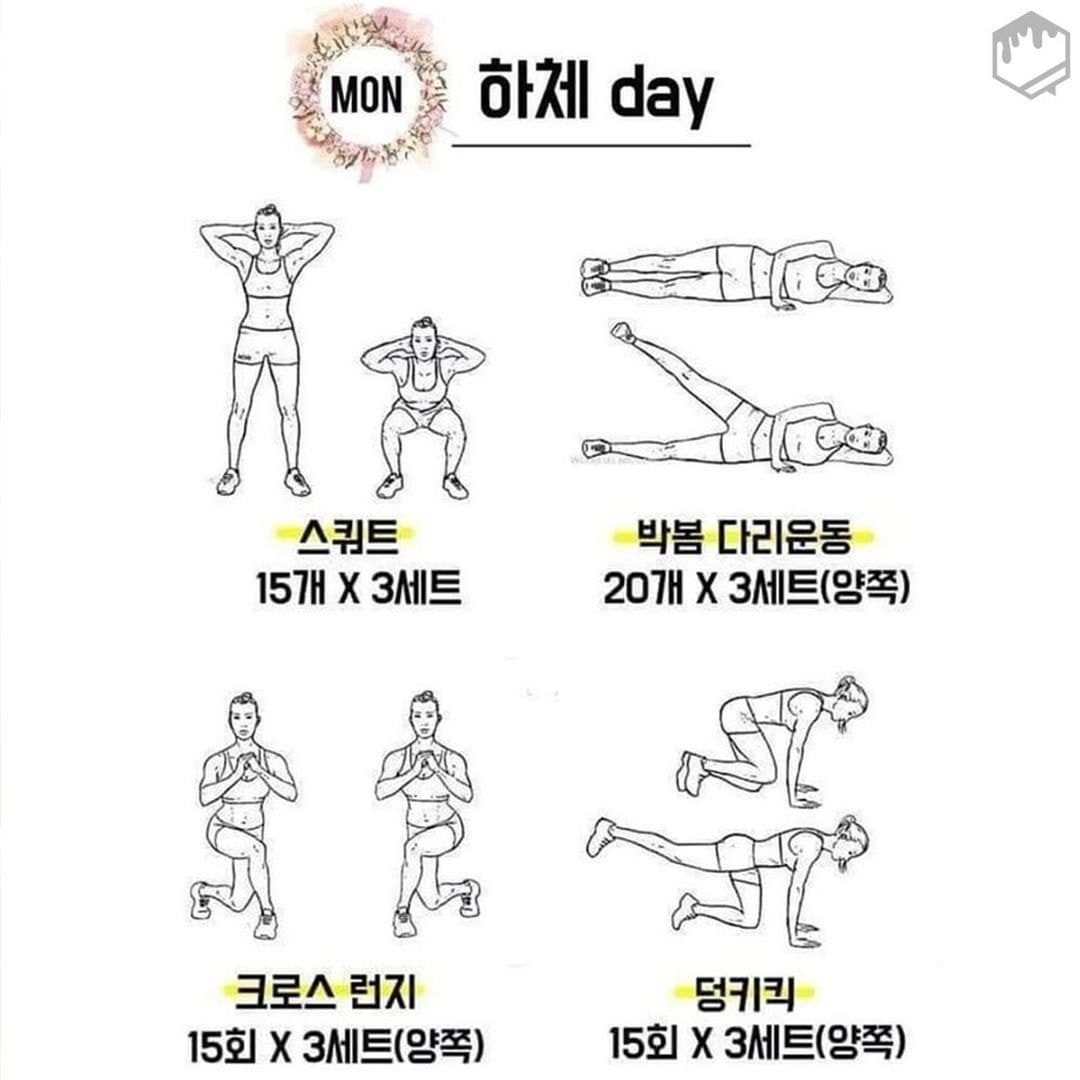  주5일 홈트 루틴