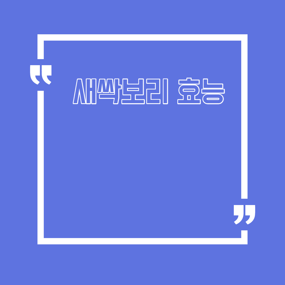 새싹보리 효능
