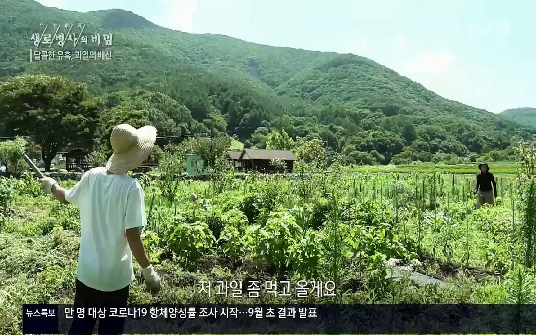 생로병사의 비밀.E829.220803p.H264-F1RST.mp4_20220804_204335.243.jpg