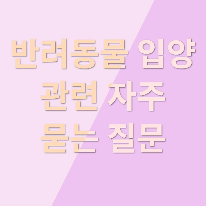 반려동물 입양의 진심_4