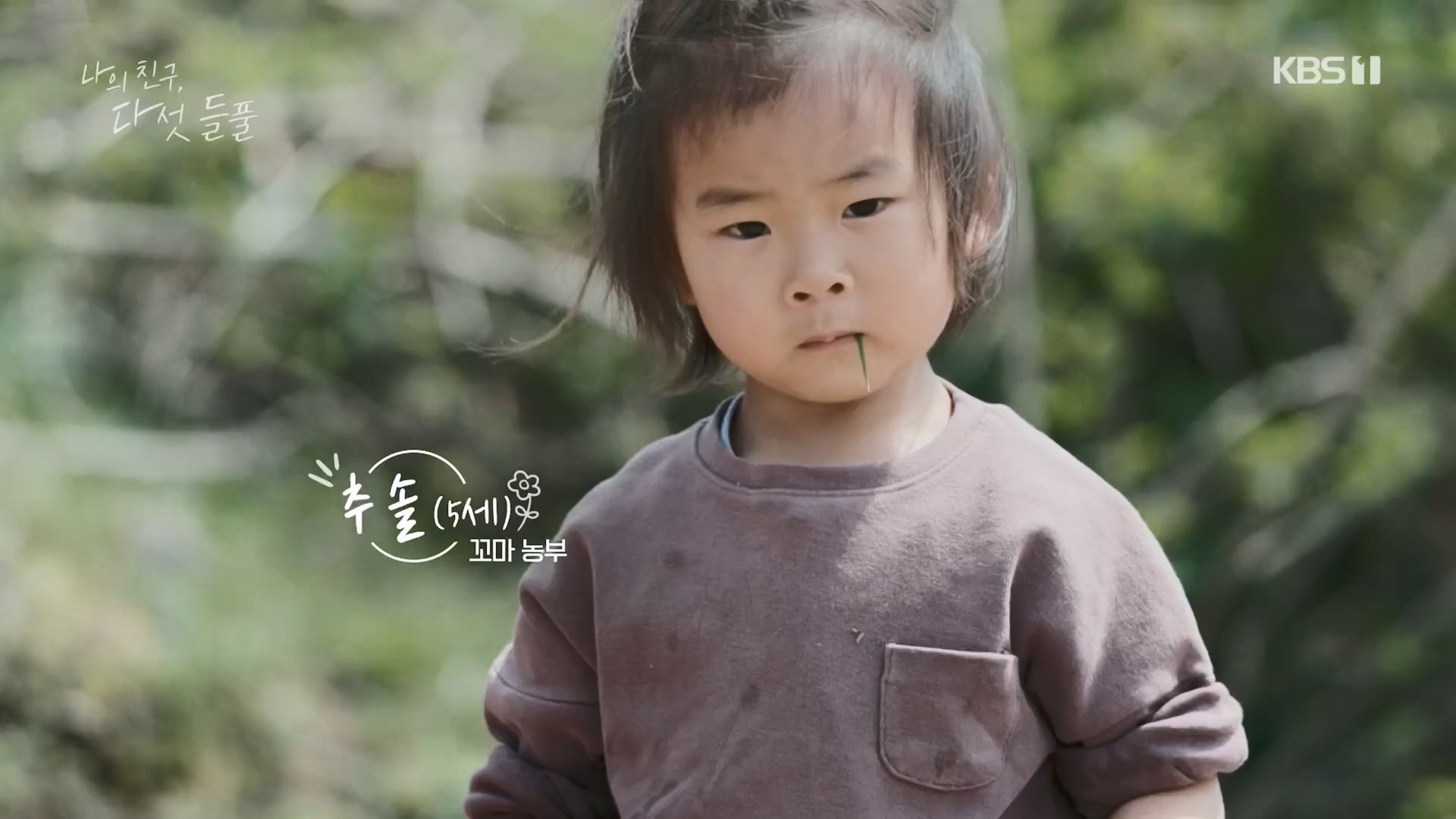 특집 다큐 나의 친구, 다섯 들풀.240119p.H264-F1RST.mp4_20240121_151733.262.jpg