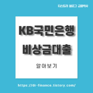  KB국민은행 비상금대출 알아보기