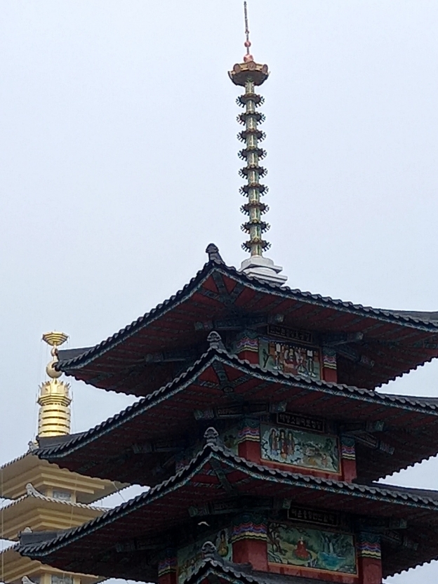 img.jpg