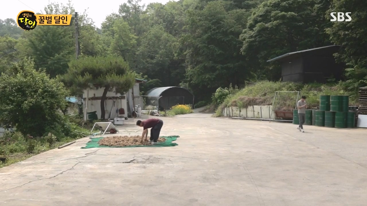생활의 달인.E937.240528p-NEXT.mp4_20240528_195558.289.jpg