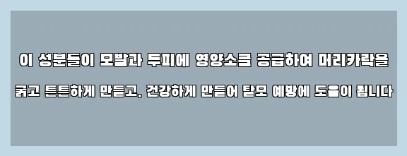  이 성분들이 모발과 두피에 영양소를 공급하여 머리카락을 굵고 튼튼하게 만들고, 건강하게 만들어 탈모 예방에 도움이 됩니다