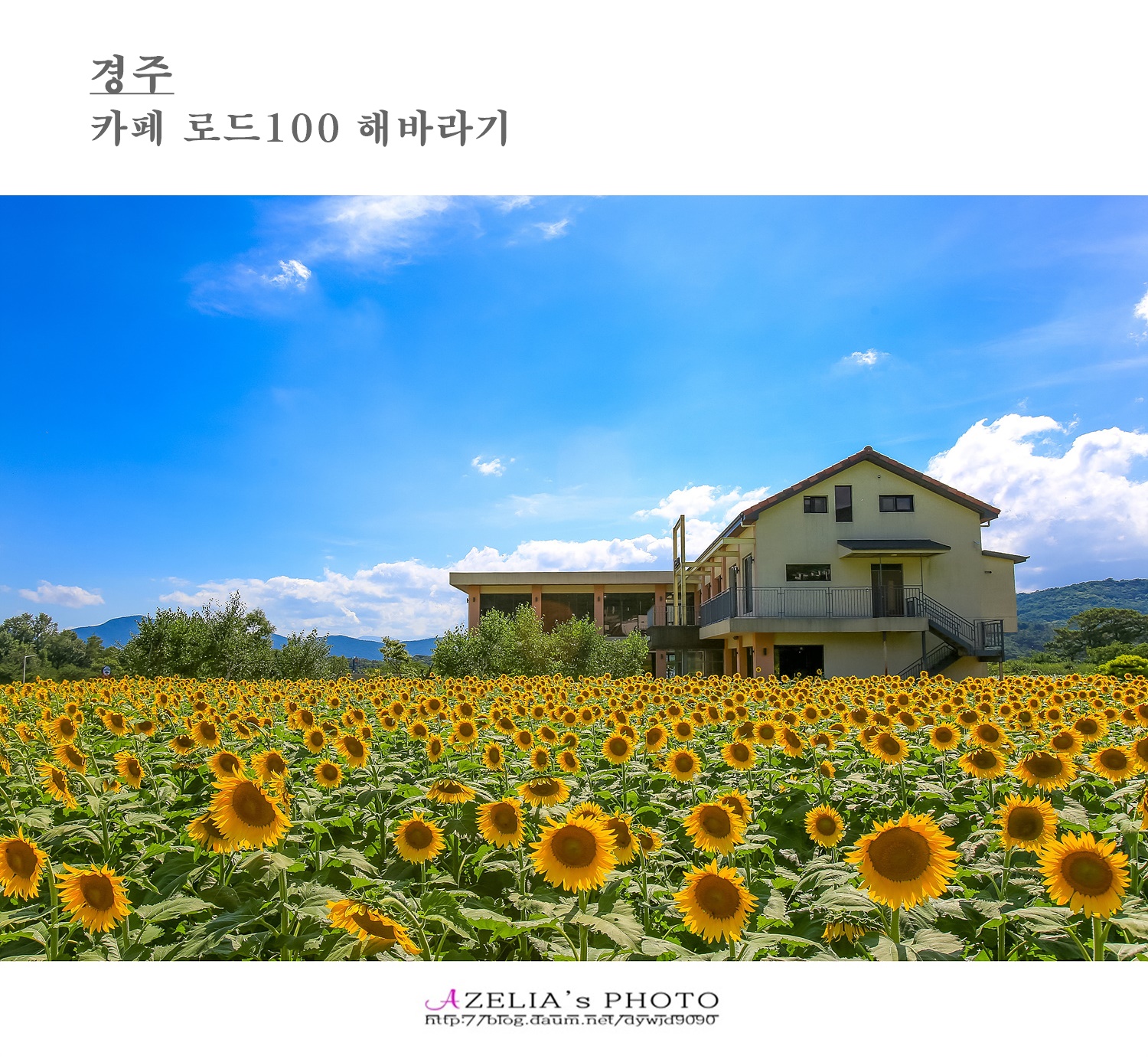로드27 이미지