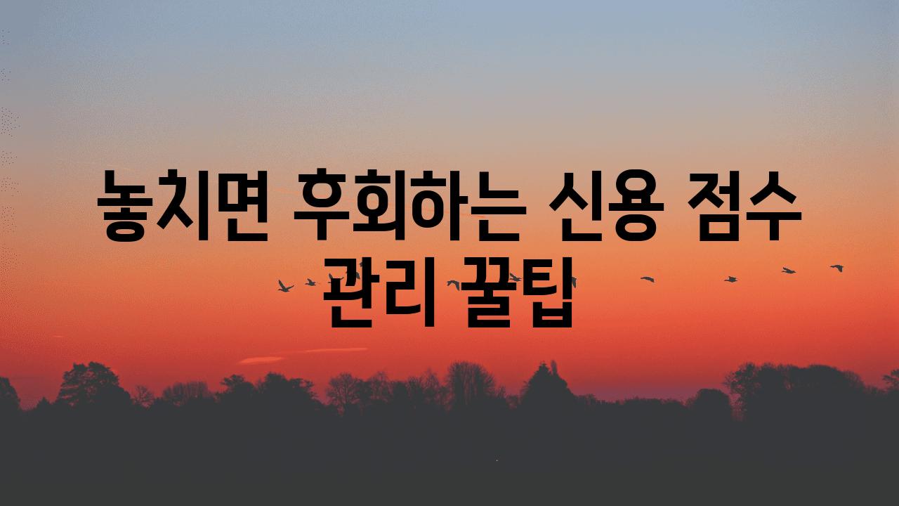 놓치면 후회하는 신용 점수 관리 꿀팁