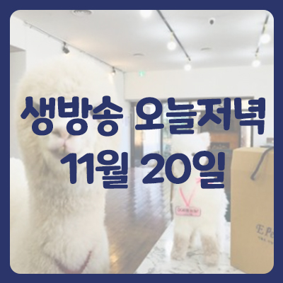  생방송 오늘저녁 맛집 11월 20일 옴뇸뇸카페 데일리알파카 숙이식당