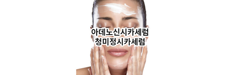 아데노신시카세럼