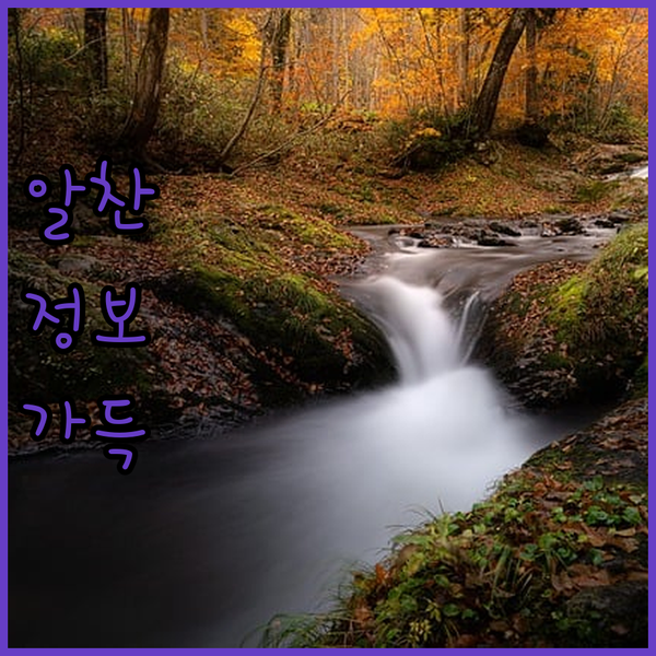 3만원대 베트남 락자 호텔 Ngoc 