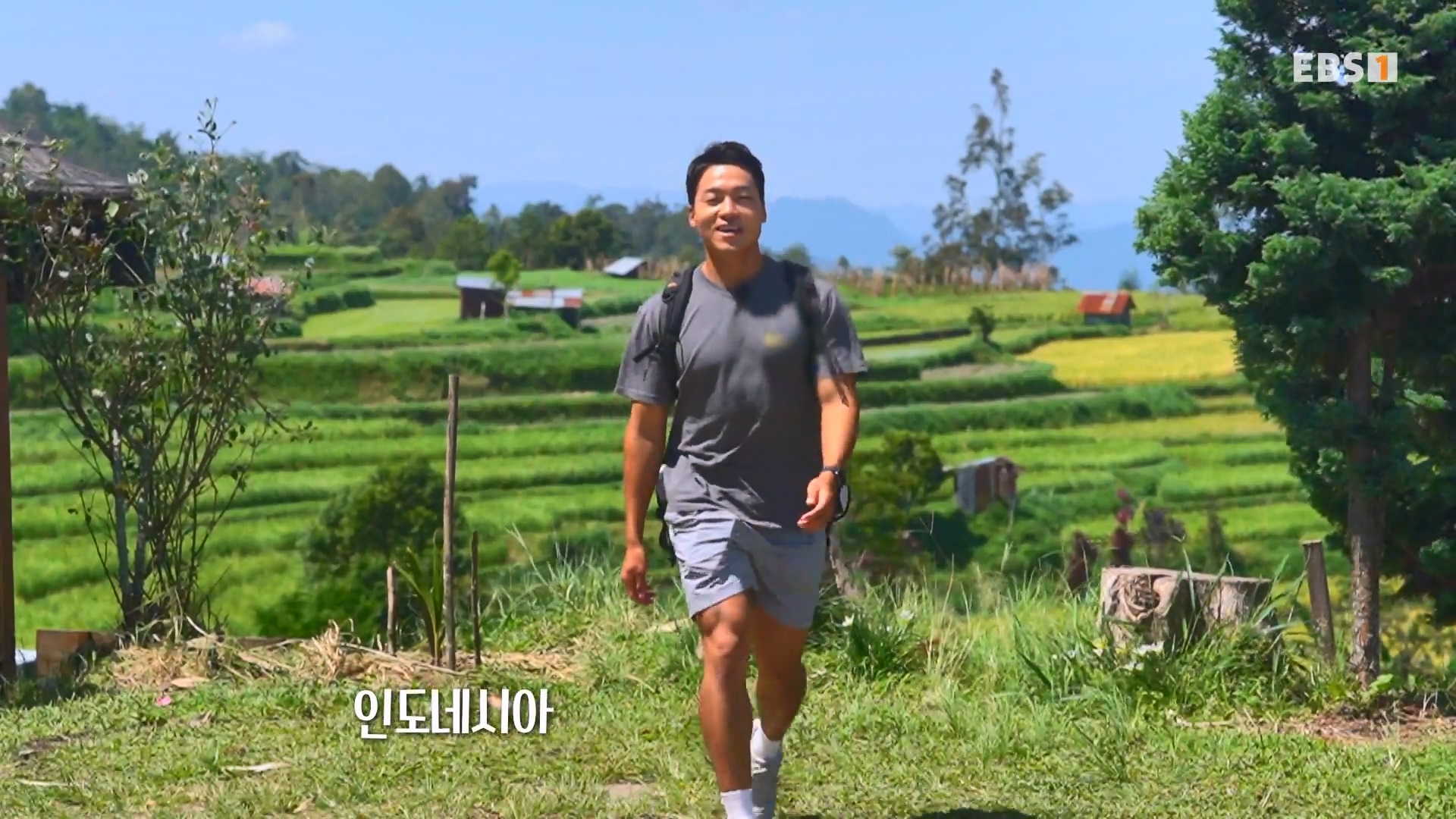 세계테마기행.230731.반할지도(島) 수마트라-1.북수마트라 제대로 즐기기.mp4_20230820_122417.137.jpg