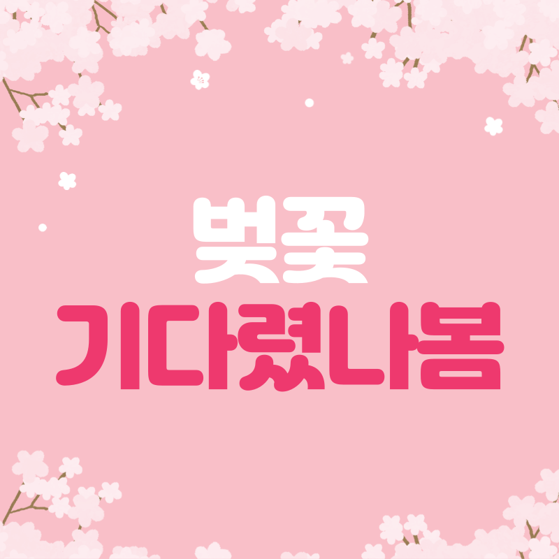  2024년 벚꽃 개화시기 명소 축제 꽃말 만개일 서울 벚꽃 시작일 진해군항제 여의도 경복궁 석촌호수 경주 벚꽃시기