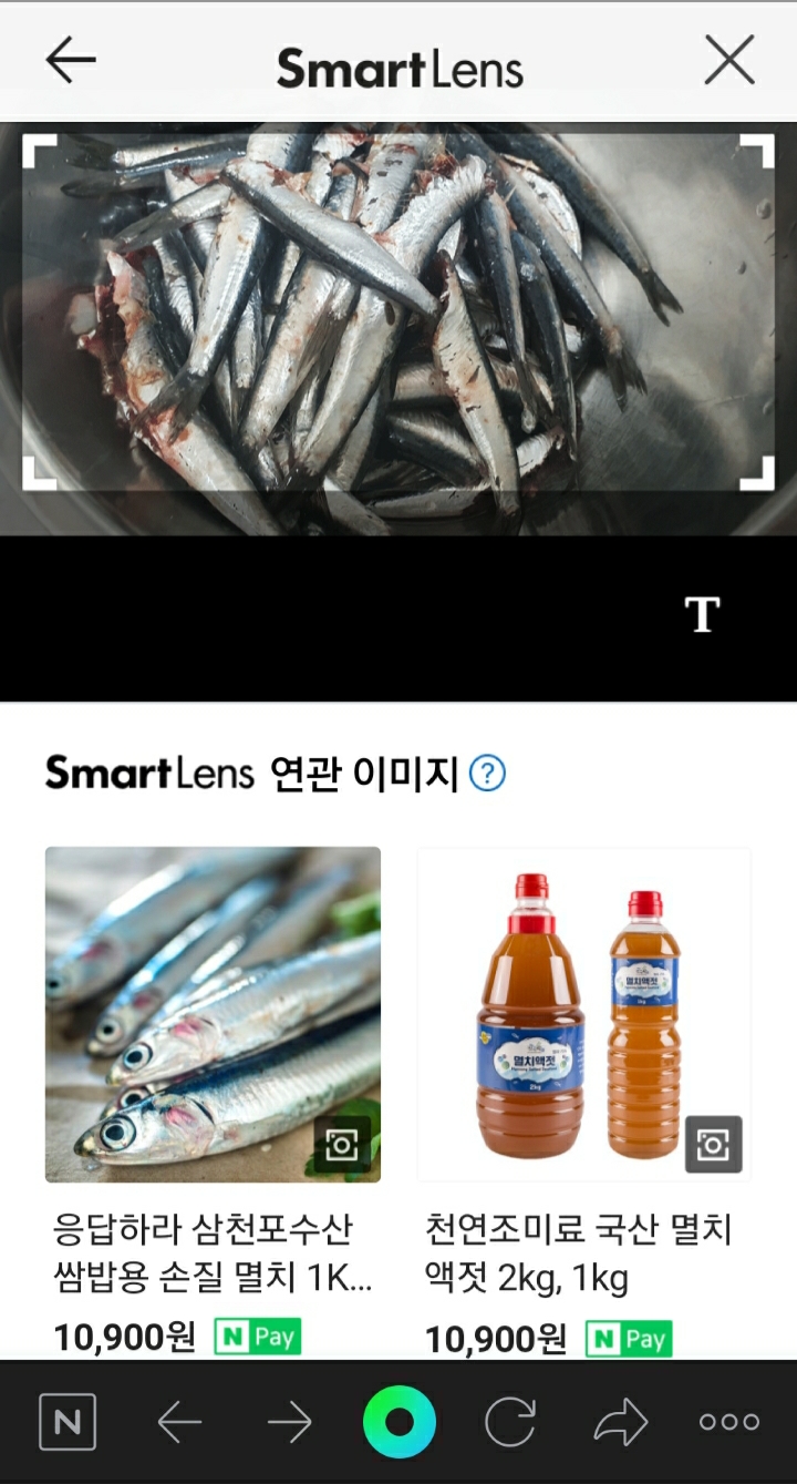 슬기로운 의사생활 사진으로 꽃이름 알려주는 어플 네이버 스마트렌즈 식물 이름찾기 5