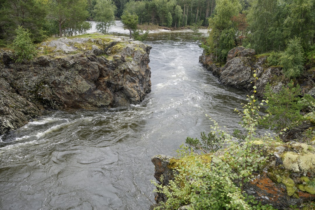 Torrent