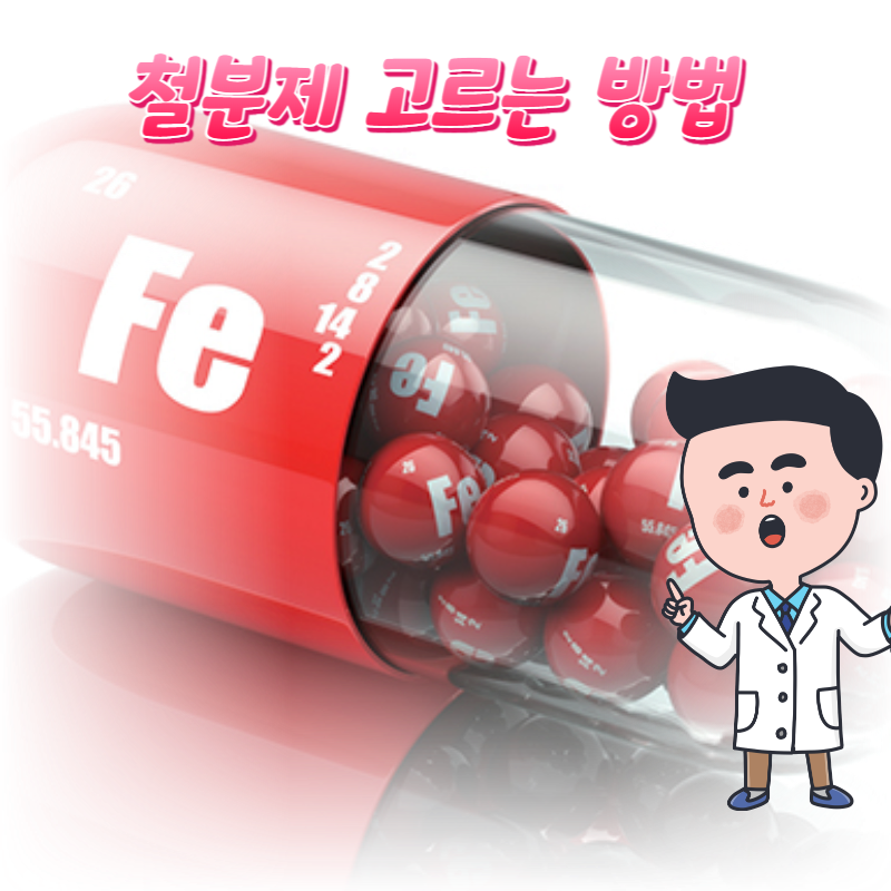  빈혈 있을때 철분제 고르는 방법