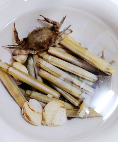 몽산포 물때표 태안 : 몽산포 물때표확인 9