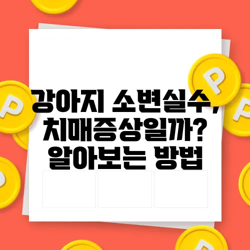 강아지 소변실수, 치매증상일까? 알아보는 방법