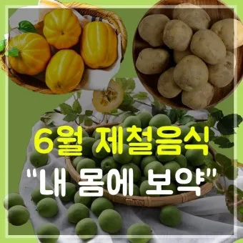 6월 제철 음식 추천 종류_17