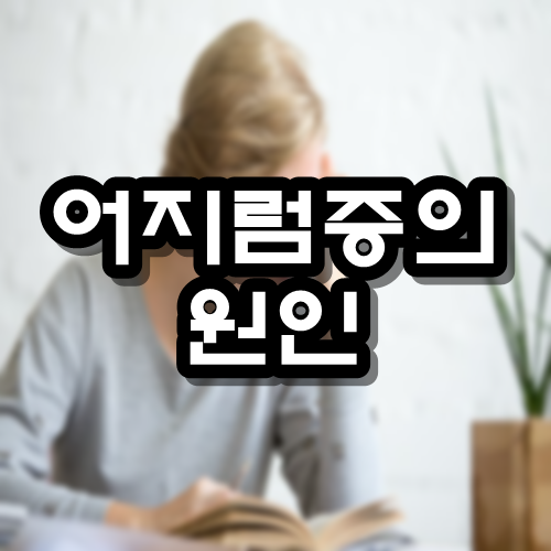  어지럼증의 원인