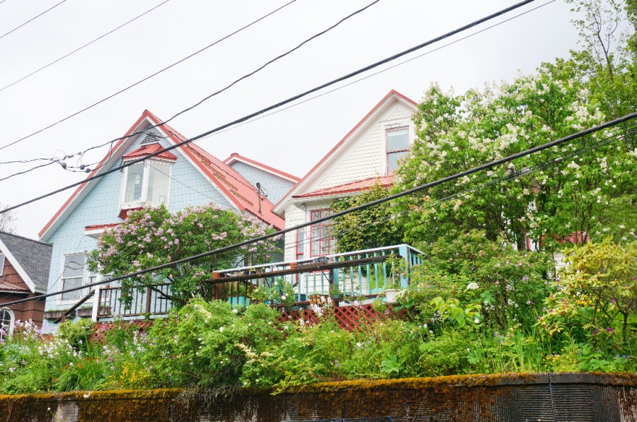주도 주노 여유있게 둘러보기 알래스카 크루즈 여행 알라스카의 21