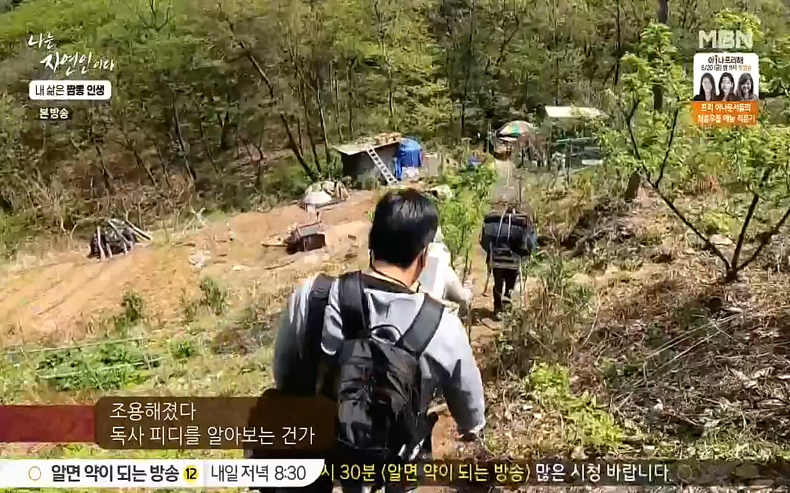 나는 자연인이다.E502.220519p-NEXT.mp4_20220519_182334.861.jpg