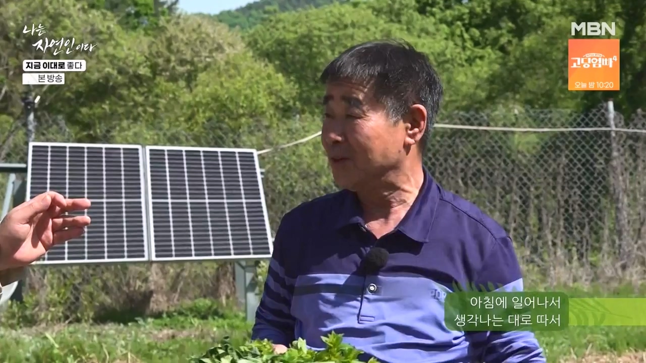 나는 자연인이다.E605.240516p-NEXT.mp4_20240516_194926.173.jpg