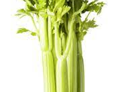 샐러리 효능 10가지 27