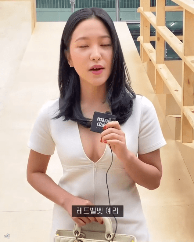  레드벨벳 예리 디올, 2022 가을 여성 컬렉션