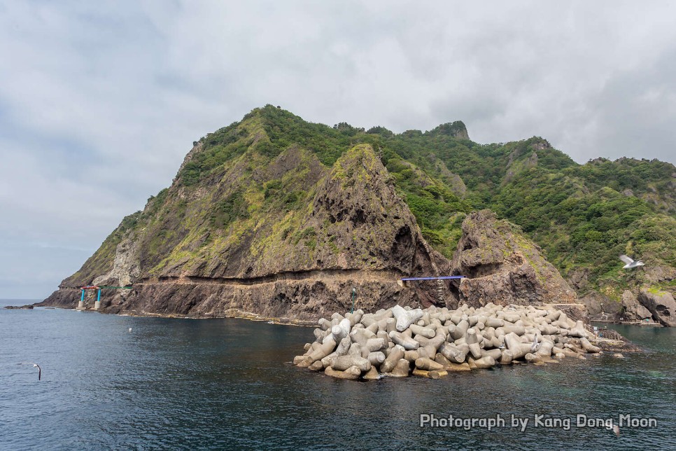울릉도 여행 가볼만한곳 유람선 배 타기 국내 바다 추천 경북 동해안 2박3일 6