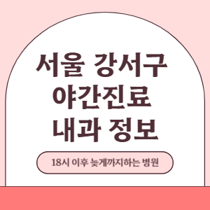 서울 강서구 야간진료 내과 병원 (18시 이후 늦게까지하는 병원)
